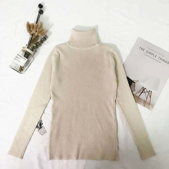 Winter Tops Turtleneck Sweater - BUSINSTORE