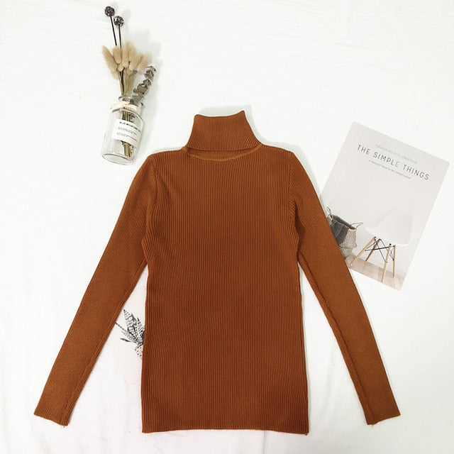 Winter Tops Turtleneck Sweater - BUSINSTORE