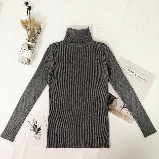 Winter Tops Turtleneck Sweater - BUSINSTORE