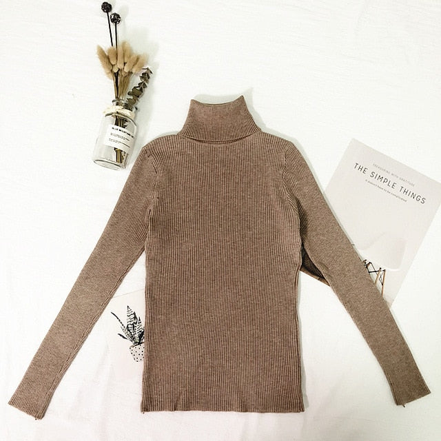 Winter Tops Turtleneck Sweater - BUSINSTORE