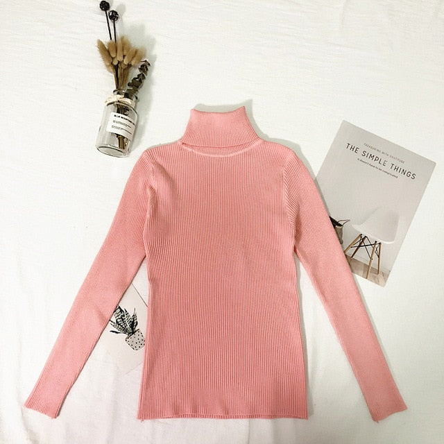 Winter Tops Turtleneck Sweater - BUSINSTORE