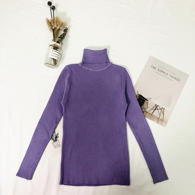 Winter Tops Turtleneck Sweater - BUSINSTORE