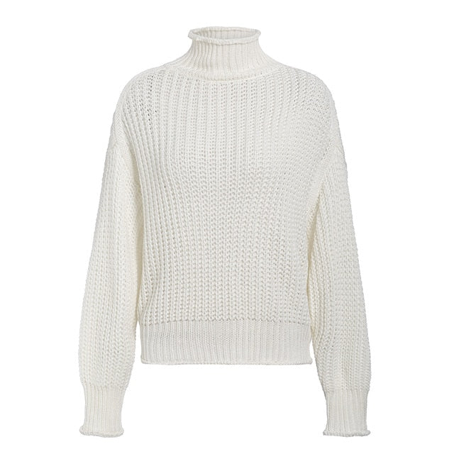 Turtleneck Long Sleeve Sweater - BUSINSTORE